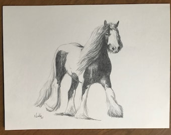 Gypsy Vanner Stallion Art, Original Graphite Pencil Drawing (9x12)