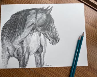 Lusitano Stallion Pencil Drawing: Realistic Horse Artwork, 9x12 Sketch