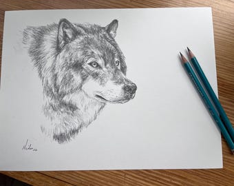 Wolf Stare Pencil Sketch: Realistic Wildlife Art, 9x12 Wall Décor