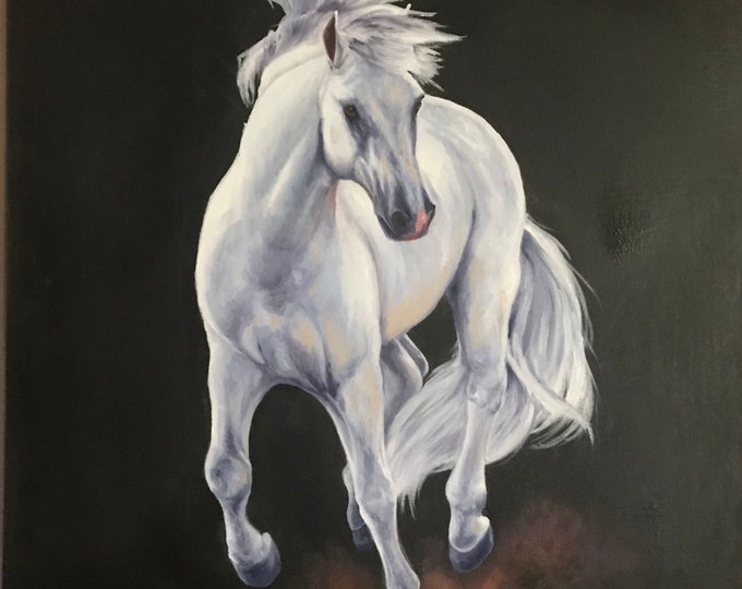 Original gray Arabian Horse oil painting by Nicolae Art 18x18 wall art