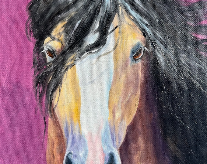 Original horse oil painting Nicolae Equine Art buckskin Gypsy Vanner horse Nicole Smith Artist 8x10
