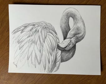 Original bird pencil drawing Nicolae Art animal artist Nicole Smith flamingo sketch 9x12