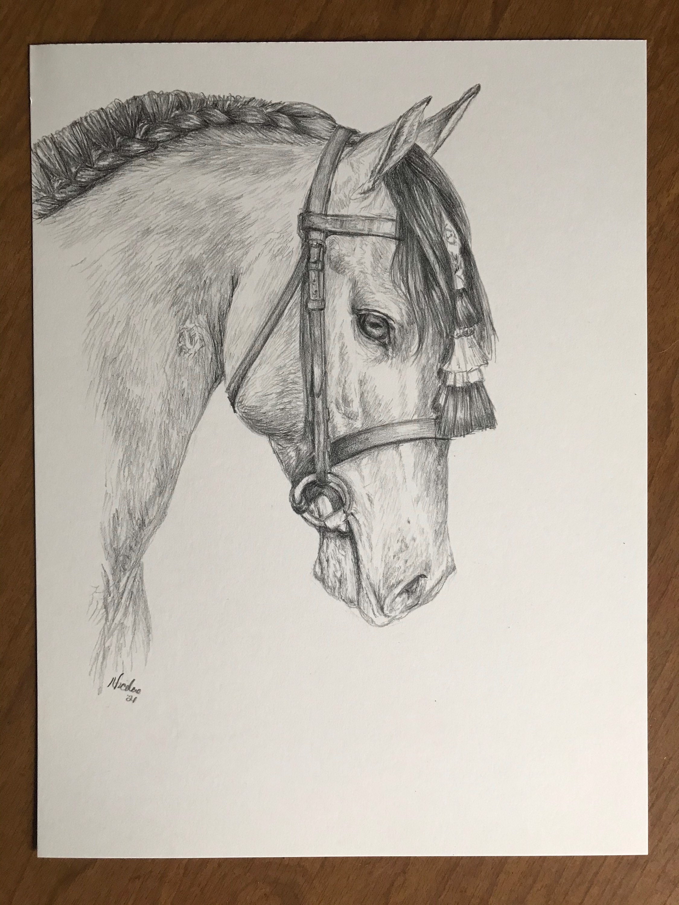 Horse face one line art