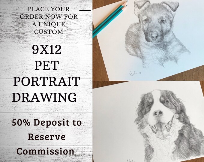 Pet portrait drawing 9x12 50% inital deposit to reserve commission