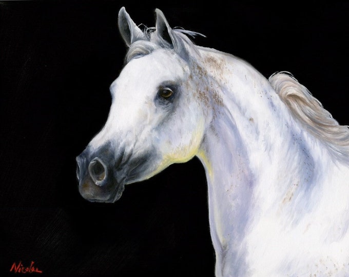 original Horse oil painting Nicolae Art Nicole Smith Artist Equine Art Arabian Horse on black background