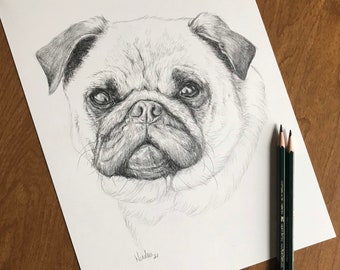 パグ - 色鉛筆画プリント - 犬のイラスト - アーティスト Gary Tymon