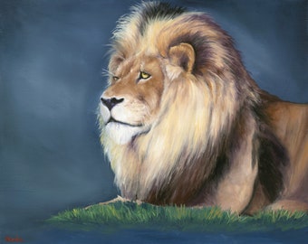 Original oil painting on canvas African Lion on blue background 16x20