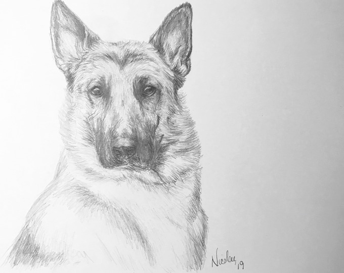 Original German Shepard dog pencil drawing Nicolae Art pet artist Nicole Smith sketch 9x12