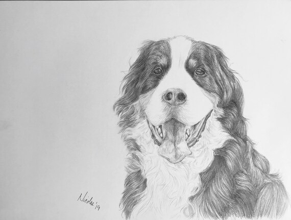 Original Dog Pencil Drawing Nicolae Art Pet Artist Nicole - Etsy Norway Original Dog Pencil Drawing Nicolae Art Pet Artist Nicole - Etsy Norway