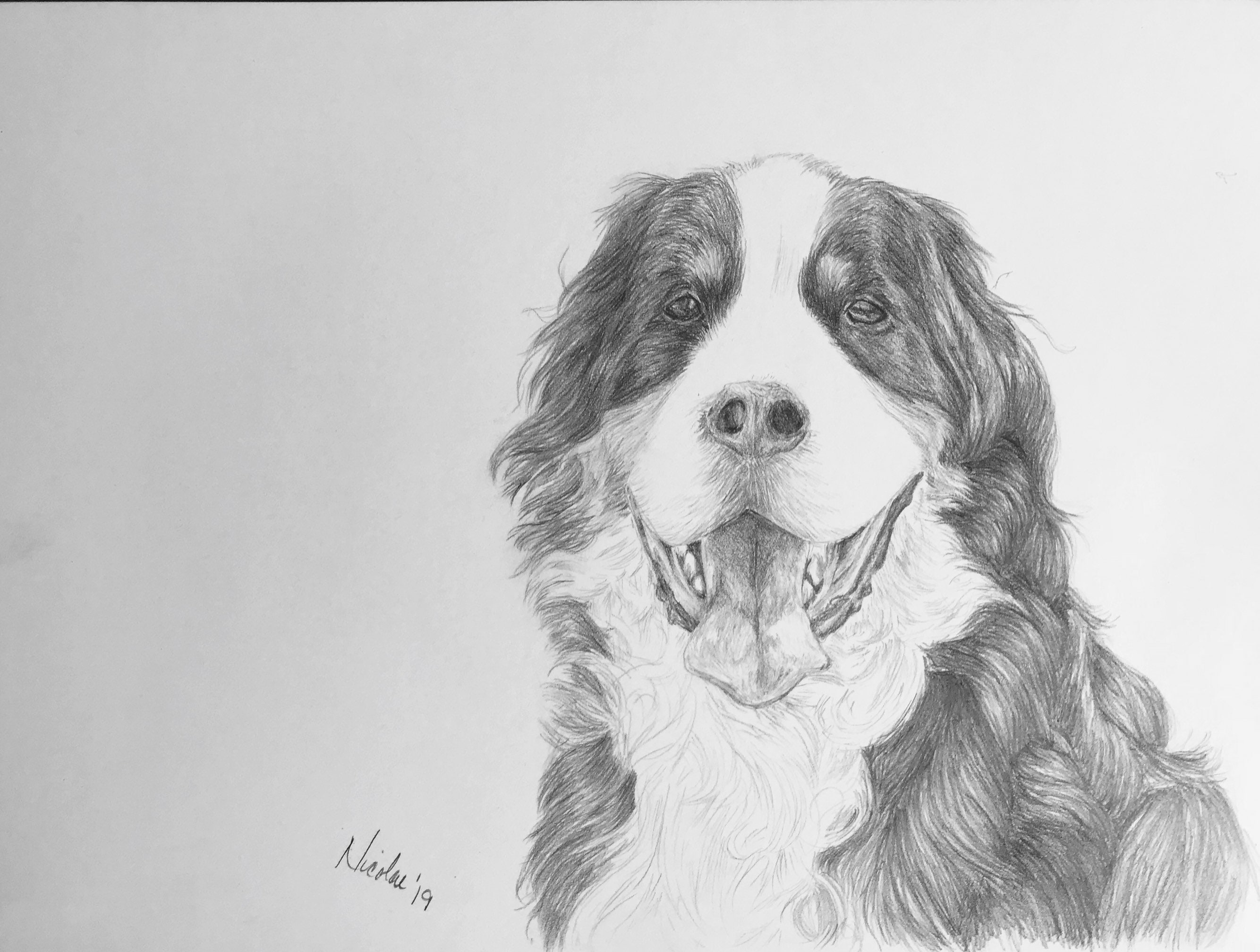 Pet Portrait Sketch – Letterfest