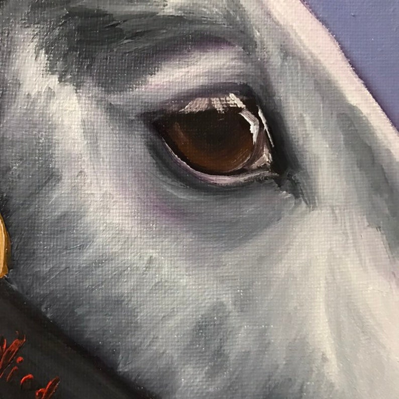 Original Horse Eye Oil Painting On Canvas By Nicolae Art Gray Soul Sketch 6x6