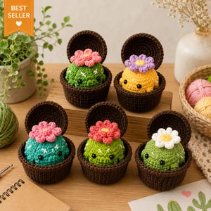 Può includere: Cinque figure di cactus all'uncinetto in vasi marrone scuro con coperchi. Ogni cactus ha un fiore colorato sulla parte superiore e occhi di perline nere. I cactus sono verdi o gialli con dettagli bianchi. I fiori sono rosa, viola o bianchi.