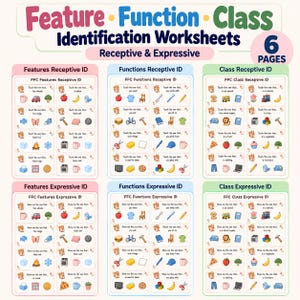 May include: A set of six educational worksheets titled Feature, Function, Class Identification Worksheets. Each page contains multiple rows of small colorful illustrations paired with text prompts like Touch the one that or Show me the one that.