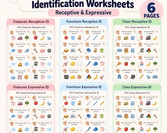 Feature Function Class FFC Worksheets | Receptive & Expressive Language Activities