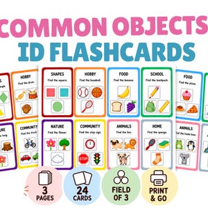 May include: A set of Common Objects ID Flashcards featuring 24 cards across 3 pages. Each card displays a category title, a prompt, and colorful illustrations of items like shapes, food, animals, and school supplies. Includes print and go icons.
