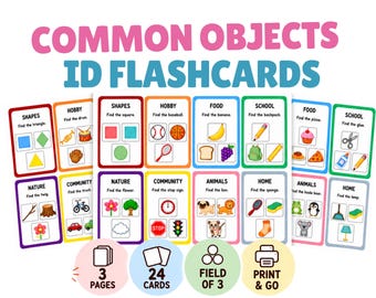 Common Objects Identification Flashcards | Receptive ID Field of 3 | Conditional Discrimination | ABA Therapy Printable
