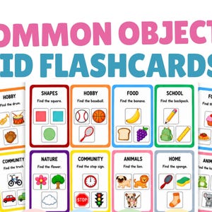 Common Objects Identification Flashcards | Receptive ID Field of 3 | Conditional Discrimination | ABA Therapy Printable