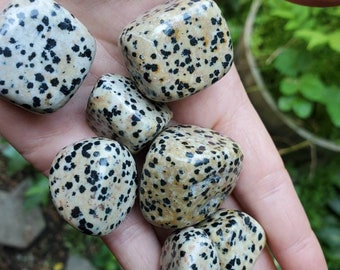 Dalmatian Jasper, Dalmatian Stone, Tumbled Dalmatian Jasper, Stone of Joy, Tumbled Stones for Lower Chakras