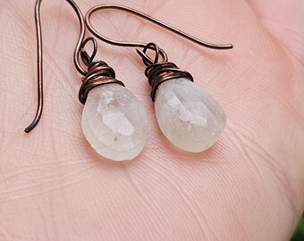 Rainbow Moonstone Earrings with Oxidized Copper