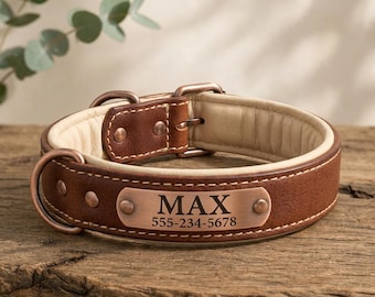 Personalized Leather Dog Collar with Engraved Nameplate