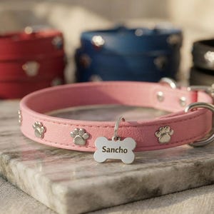 Puede incluir: Un collar para mascota de color rosa con tachuelas metálicas plateadas en forma de huella y una placa de identificación con forma de hueso grabada con el nombre Sancho. Otros collares en rojo, azul y negro al fondo.