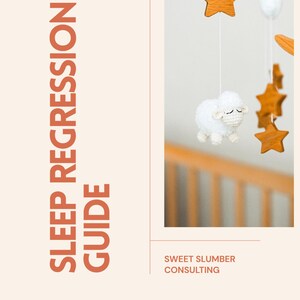 Guia de Regressão do Sono: Apoio Suave ao Sono para Bebês de 0 a 2 Anos (Download Digital)