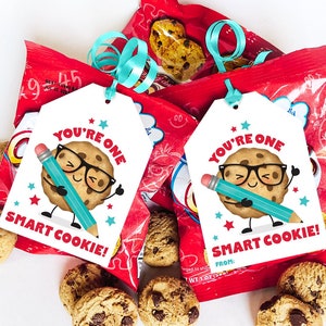 Puede incluir: Dos etiquetas de regalo blancas con el texto "You're One Smart Cookie!" presentan una galleta de dibujos animados con gafas y un lápiz. Las etiquetas están unidas a bolsas de aperitivos rojas con cinta azul. Galletas con chispas de chocolate esparcidas.