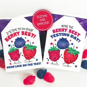 Druckbare Test Tag Snack Tag Klassenzimmer Beere Obst Snacks Beerensaft Box Leckerli Anhänger Schüler Viel Glück Geschenkanhänger Test Unter Schule PTO PTA