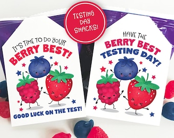 Printable Testing Day Snack Tag Classroom Berry Fruit Snacks Berry Juice Box Treat Tag Student Good Luck Gift Tag Test Taking School PTO PTA