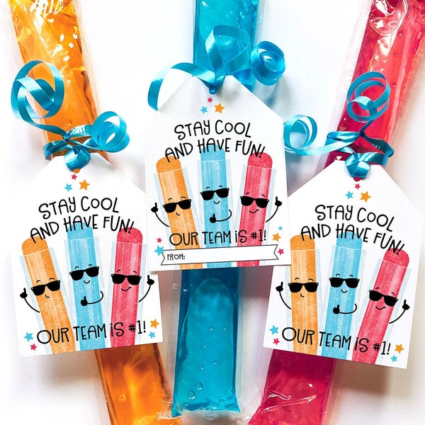 Printable Team Freeze Pop Ice Popsicle Treat Tag Game Day Snack Tag Soccer Baseball Little League Tournament Good Luck Gift Softball Dance