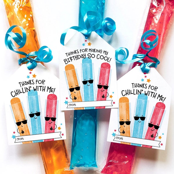 Printable Freeze Pop Tag Birthday Favor Treat Tag Summer Birthday End of School Party Favor Tag Gift Freeze Pop Ice Popsicle Goodie Bag Tag