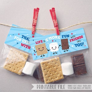 PRINTABLE Fourth of July Tags Smores Tags, S'mores Favor Tags, Summer Party Favors, Camping Treats, Red White Blue Printable S'mores Toppers