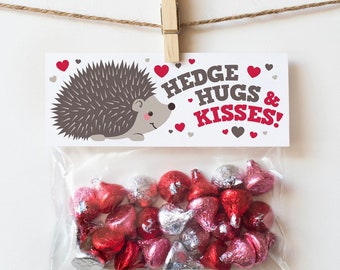 PRINTABLE Valentines for Kids Valentines Treat Bag Toppers Hedgehog Valentine Cards Classroom Valentine Card Valentines Day Gift Treat Tags