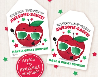 Printable Last Day of School Tag Classroom Treat Tag Applesauce Pouch Tag End of School Year Gift for Students from Teacher Summer Gift Tag