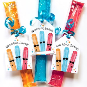 Last Day of School Printable Tag Classroom Treat Tag Have a Cool Summer School Tags End of School Year Student Gift Freeze Pop Ice Popsicle image 1