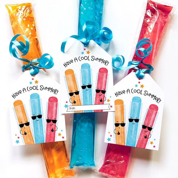 Last Day of School Printable Tag Classroom Treat Tag Have a Cool Summer School Tags End of School Year Student Gift Freeze Pop Ice Popsicle