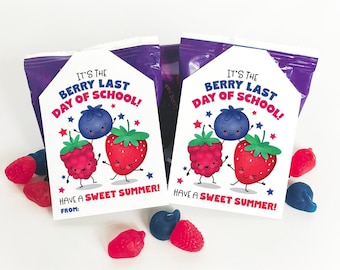 Printable Last Day of School Classroom Treat Tag Berry Fruit Snacks End of School Year Gift for Students from Teacher Juice Pouch Berries
