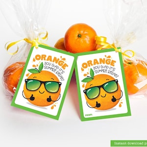 Last Day of School Printable Snack Tag Orange You Glad Summer Break Tag Mandarine Orange Juice Cuties Classroom Student Gift Healthy Snacks