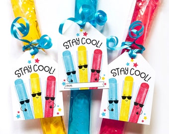 Stay Cool Last Day of School Printable Tag Classroom Treat Tag Cool Summer School Tags Birthday Freeze Pop Ice Popsicle Vacation Bible VBS