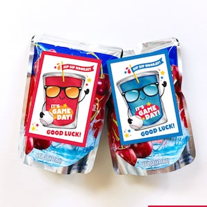 Printable Baseball Game Day Tag Juice Pouch Label Team Treats Tag Good Luck Gift Tag Softball Little League Tournament Tee Ball Coach Snacks