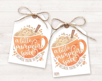 Pumpkin Spice Gift Tags PRINTABLE Fall Gift Tags Fall Favor Tag Teacher Gift Tag Coffee Gift Thank You Gift Tag Autumn Gift Pumpkin Gift Tag