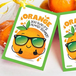Almost Summer Last Day of School Printable Snack Tag Orange You Glad Tag Mandarine Orange Juice Cuties Classroom Student Gift Healthy Snacks