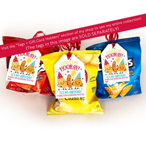 May include: Three bags of chips with birthday party favor tags attached. The tags are white with colorful cartoon chips wearing party hats and the text "Chip Chip Hooray! It's my birthday! Thanks for celebrating with me!"