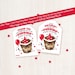 PRINTABLE Birthday Smores Tags, S'mores Treat Tags Birthday Party ...