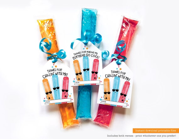 Printable Freeze Pop Tag Birthday Favor Treat Tag Summer Birthday End of School Party Favor Tag Gift Freeze Pop Ice Popsicle Goodie Bag Tag Il_570xn