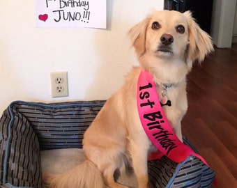 Pet Sash - Dog Sash - Pet Birthday - Dog Birthday - Custom Sash