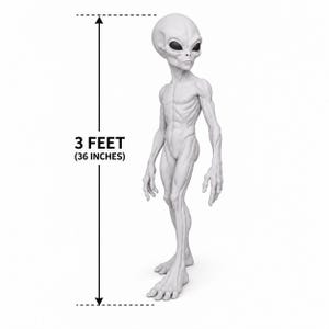 May include: A light gray alien figurine with a large head, dark almond-shaped eyes, and a slender, muscular build. A vertical measurement line indicates the figure stands at a height of 3 feet or 36 inches tall.