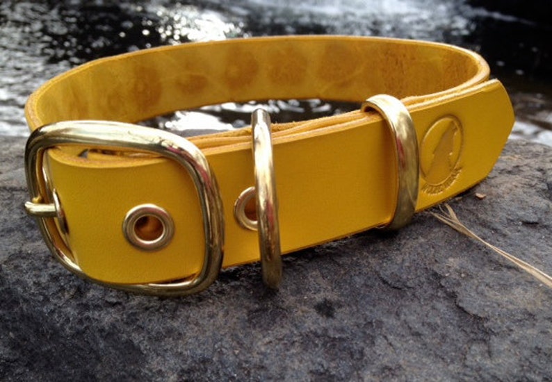 Leather dog collar Daisy 1.25 yellow with gold metallic embossing