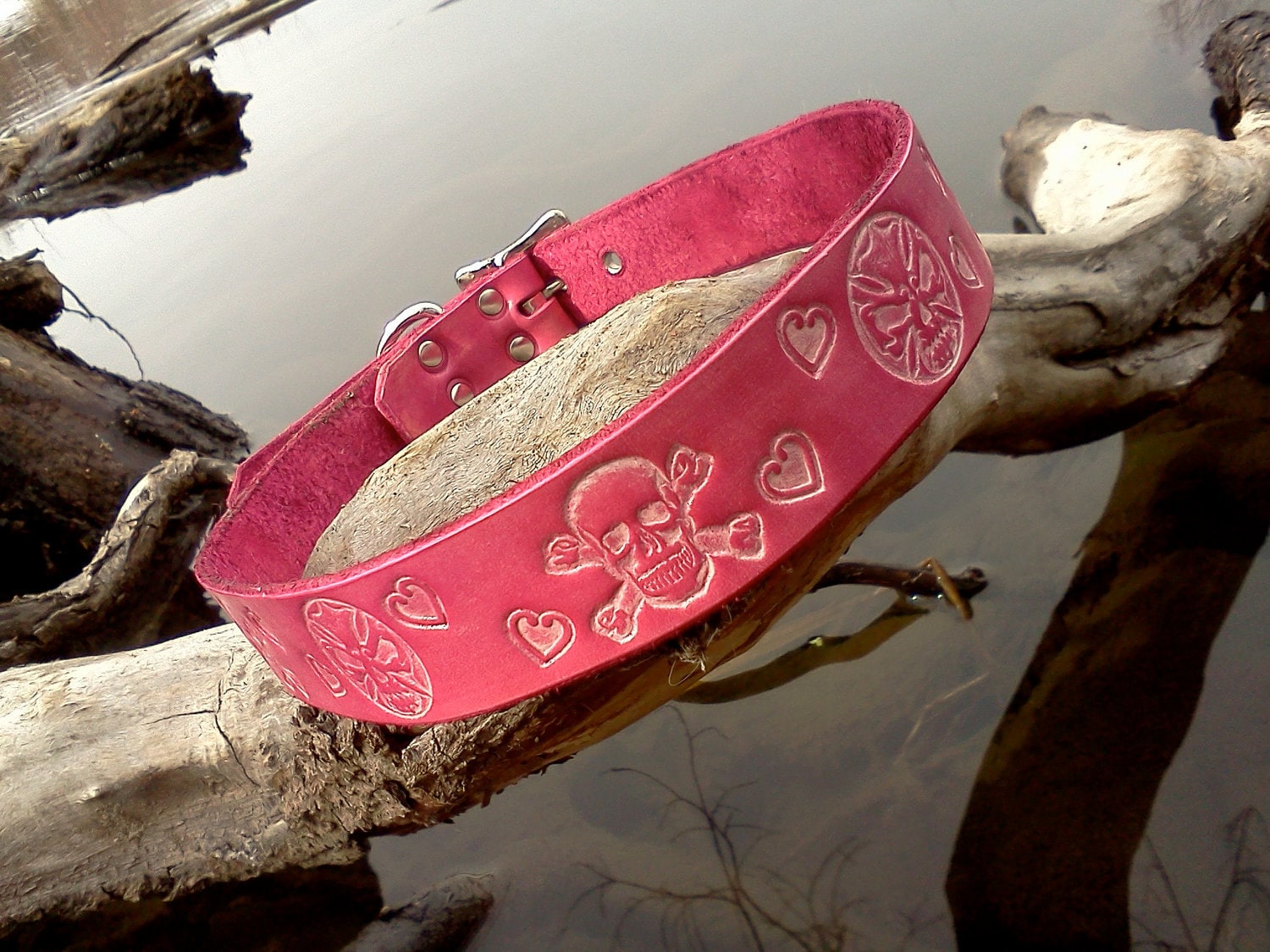 Leather Dog Collar: Pink Skulls and Hearts Embossed 1