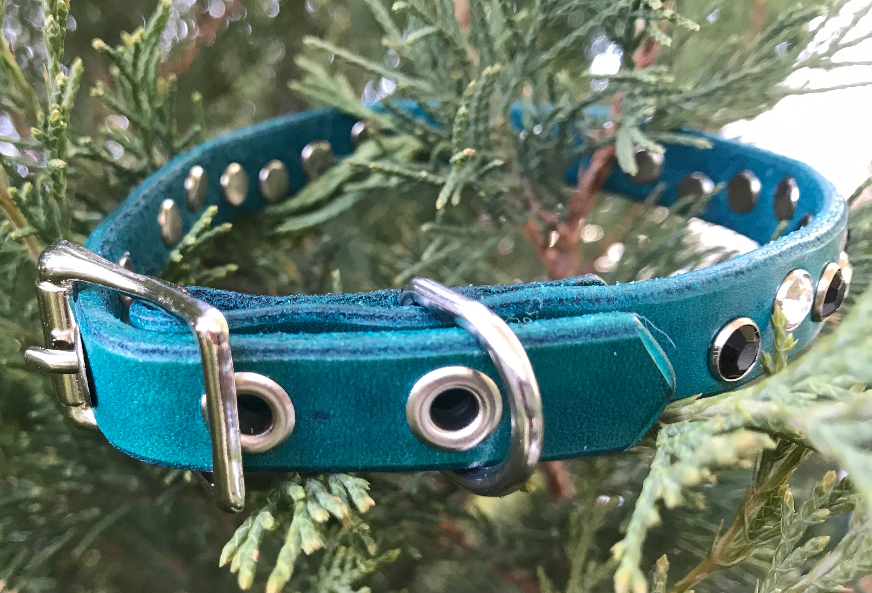 Leather dog collar teal with black and clear rhinestones Etsy